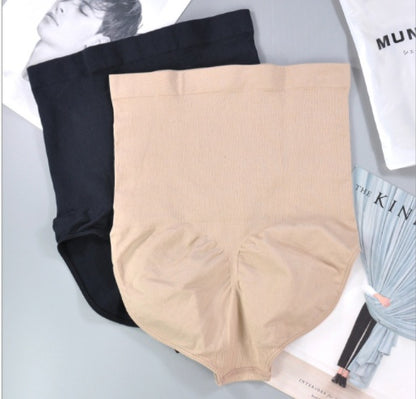 SilhouetteAir Sculpting Panties - Evolvgaia®